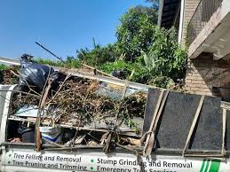 Best Recycling Services for Junk  in Clintonville, WI