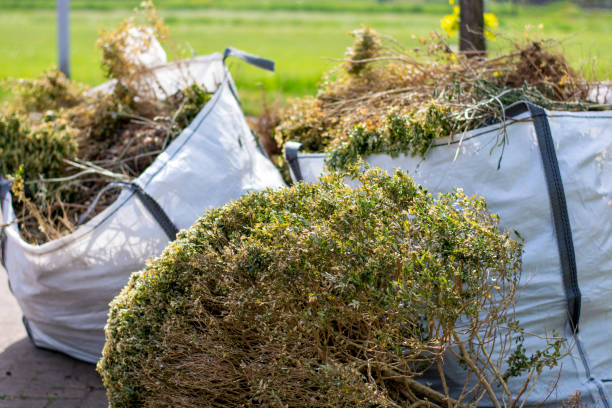 Best Junk Removal for Events  in Clintonville, WI