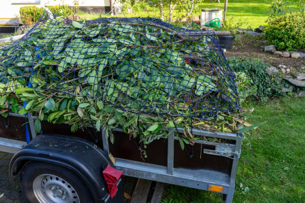 Best Recycling Services for Junk  in Clintonville, WI
